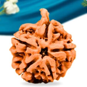 ganesh rudraksha