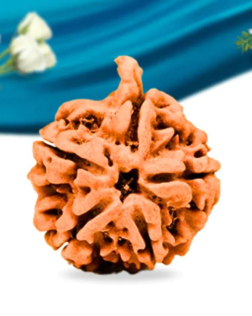 ganesh rudraksha ganesh rudraksha