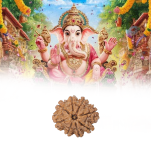 import placeholder for 343