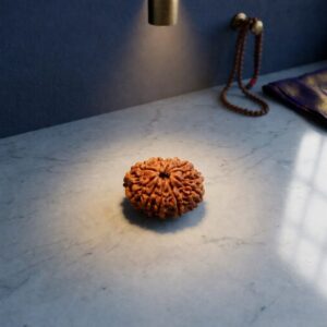 ten mukhi rudraksha