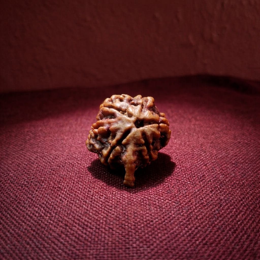 ganesh rudraksha ganesh rudraksha