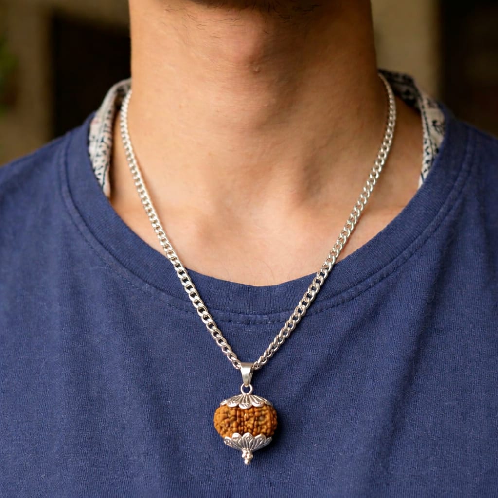 thirteen mukhi rudraksha thirteen mukhi rudraksha