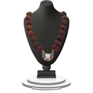 import placeholder for 360