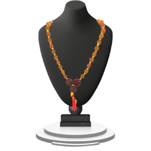 import placeholder for 350