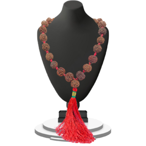 import placeholder for 354