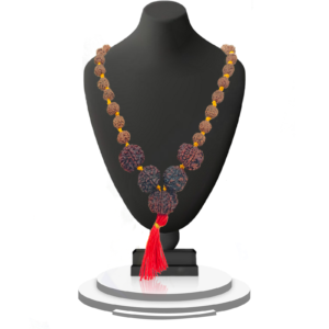 import placeholder for 356