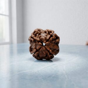 four mukhi rudraksha